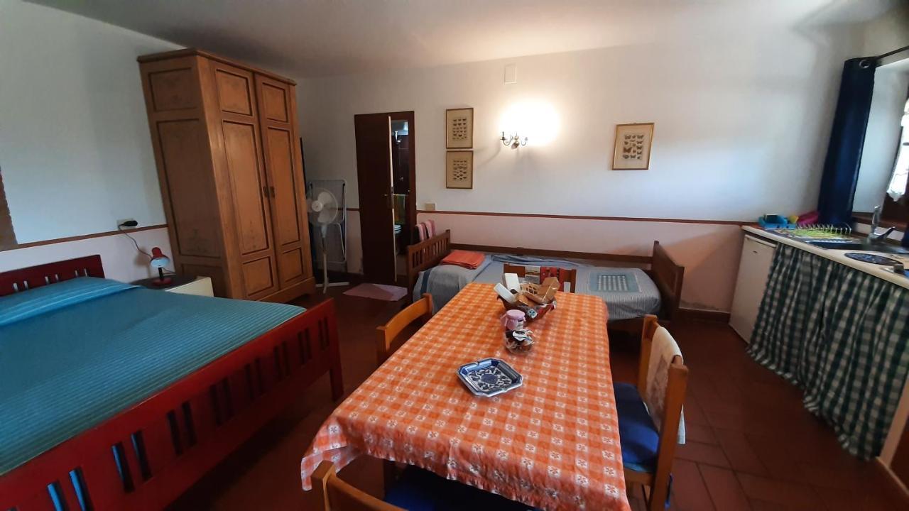 Artenatura BeB Terranuova Bracciolini Exterior foto